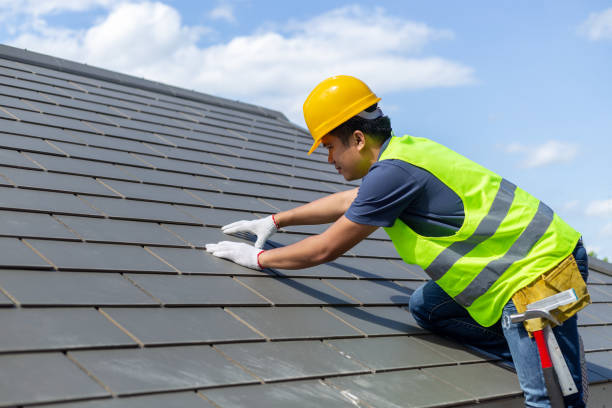 Best Metal Roofing Contractor  in Roanoke Rapids, NC