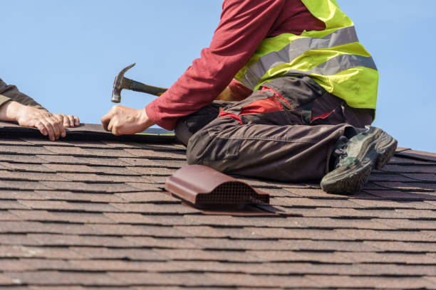 Best Roof Leak Repair  in Roanoke Rapids, NC