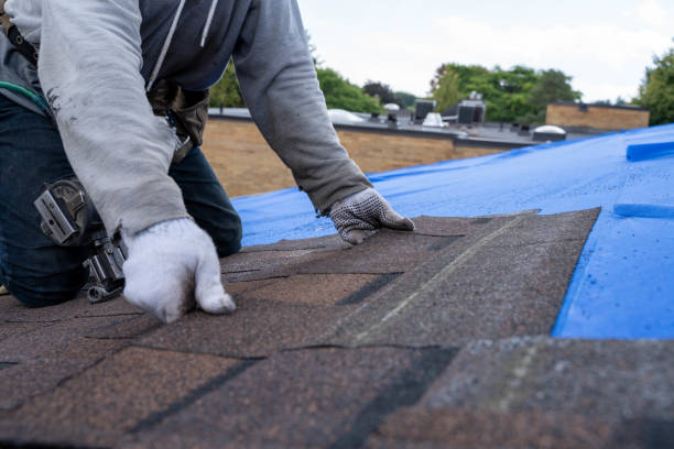 Best Tile Roofing Contractor  in Roanoke Rapids, NC