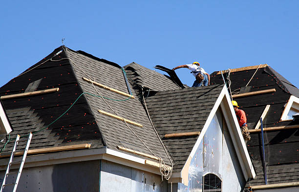 Best Roof Maintenance Services  in Roanoke Rapids, NC