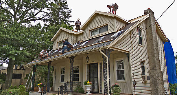 Best Best Roofing Contractors  in Roanoke Rapids, NC