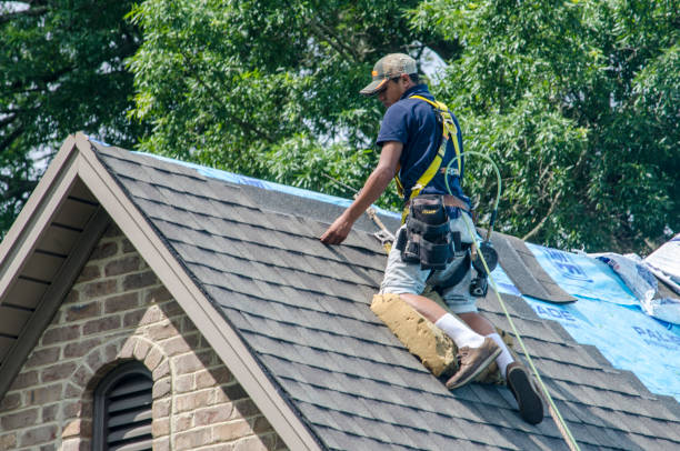 Best Affordable Roof Replacement  in Roanoke Rapids, NC