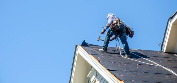 Best Roofing Contractor Near Me  in Roanoke Rapids, NC